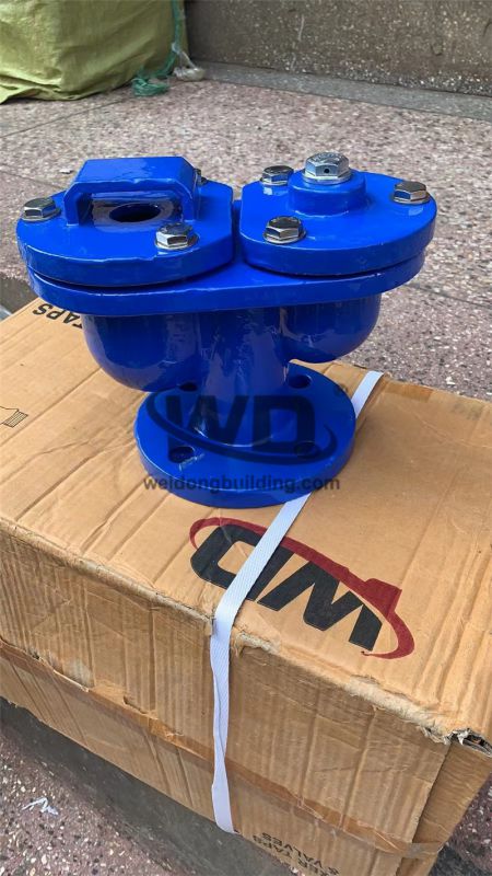 Gate/Check Valve