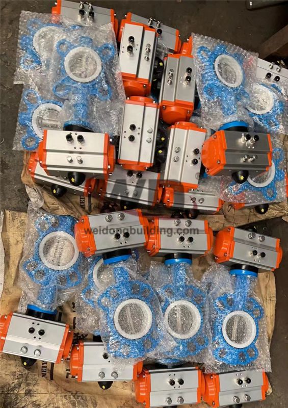 Gate/Check Valve