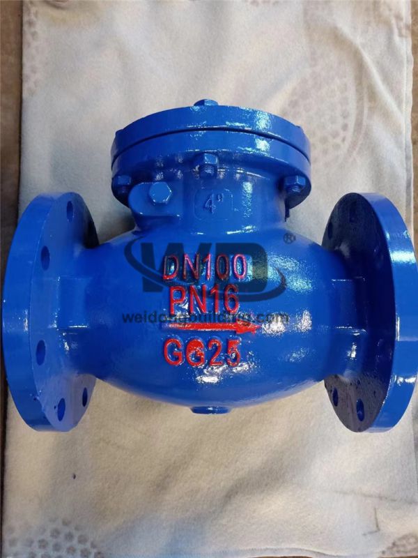 Gate/Check Valve