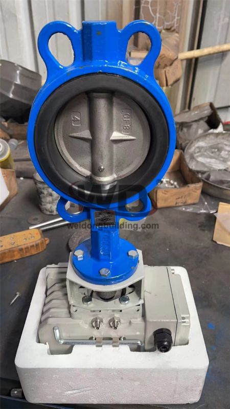 Gate/Check Valve