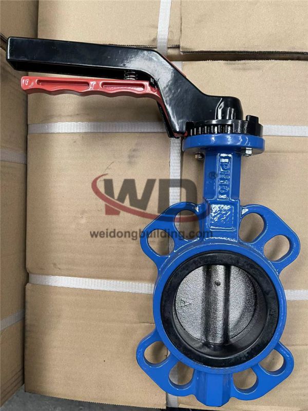 Gate/Check Valve