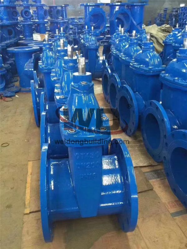 Gate/Check Valve