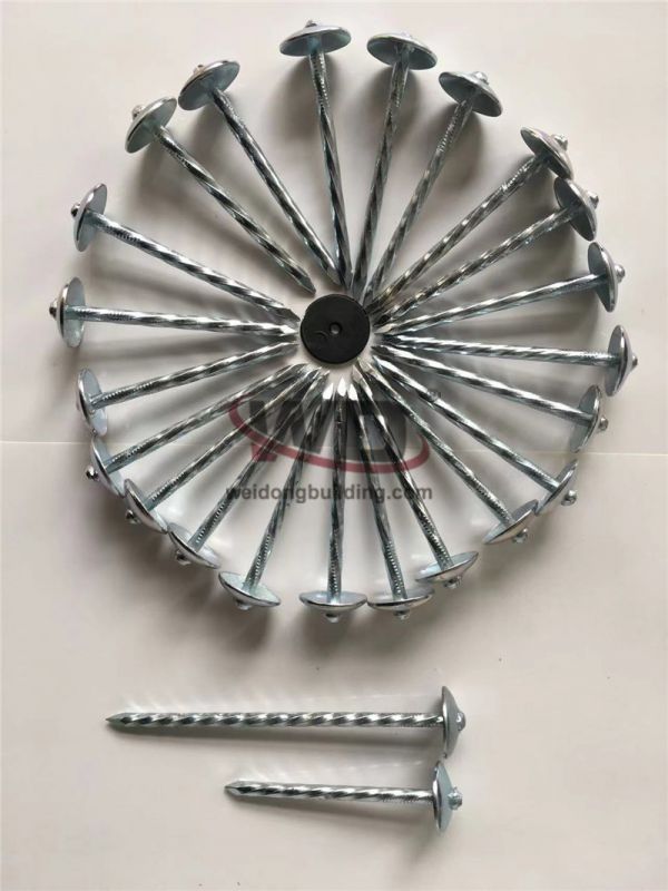 Nail/Roofing nail