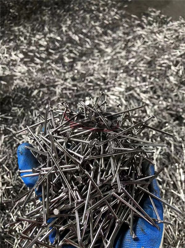 Nail/Roofing nail