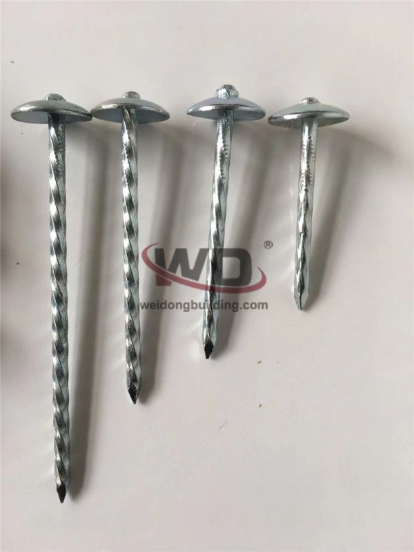Nail/Roofing nail