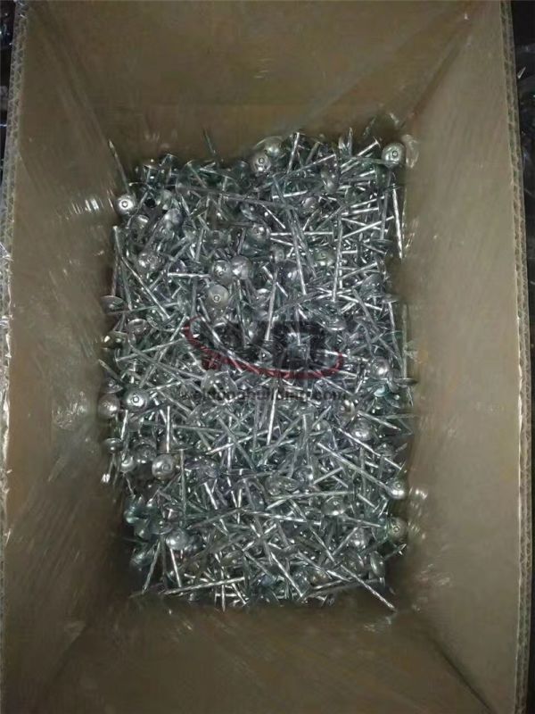 Nail/Roofing nail
