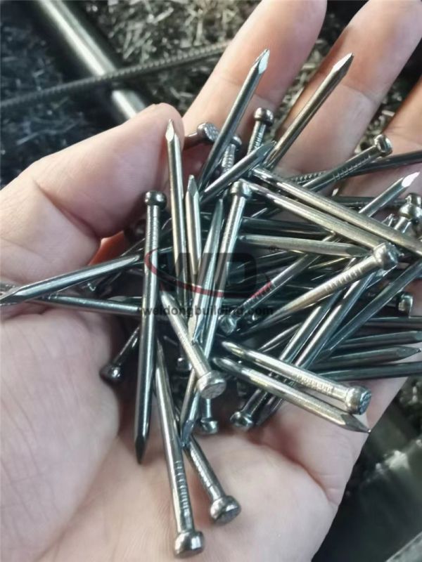 Nail/Roofing nail