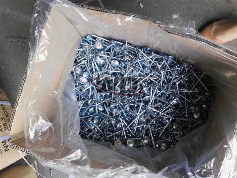 Nail/Roofing nail